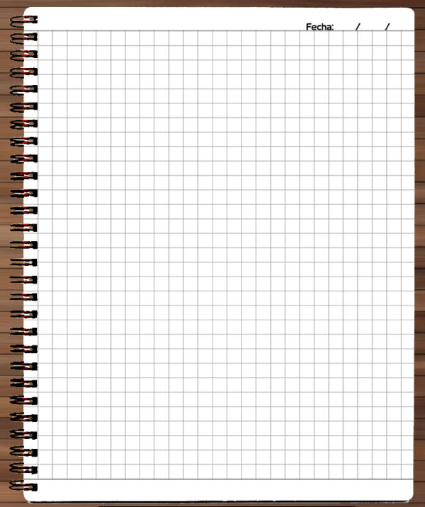 355 - Cuaderno / Libreta - One Piece - Luffy y Ace - Imagen 2