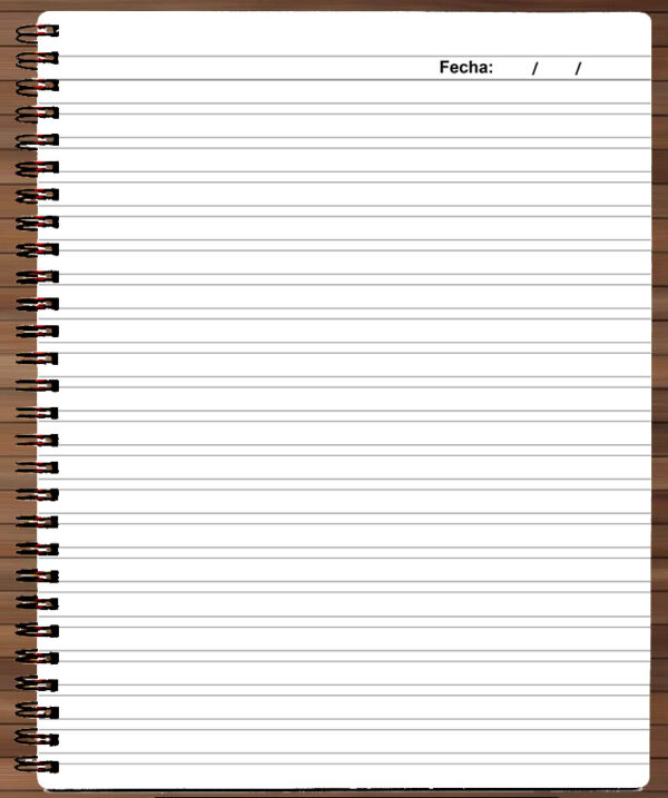 355 - Cuaderno / Libreta - One Piece - Luffy y Ace - Imagen 4
