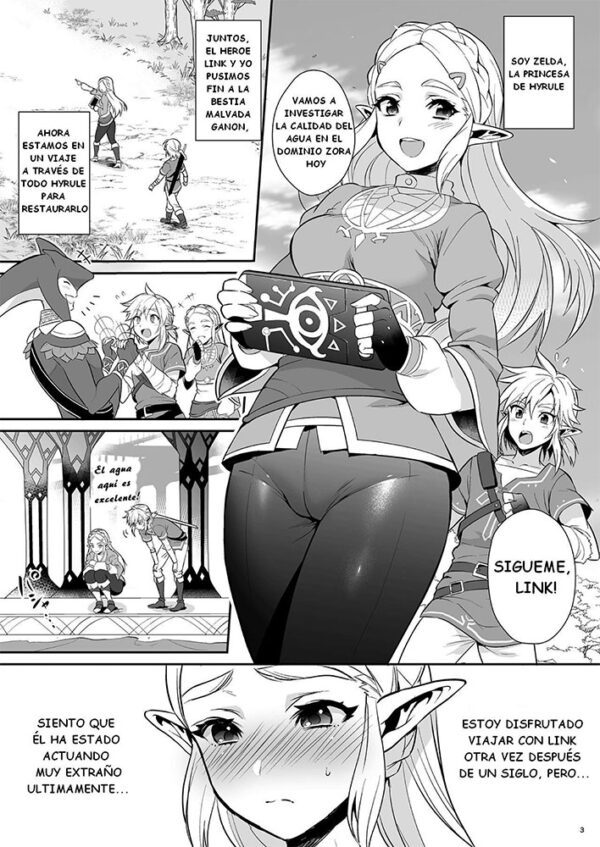 Doujin Legend of Zelda - Link x Zelda - Imagen 2