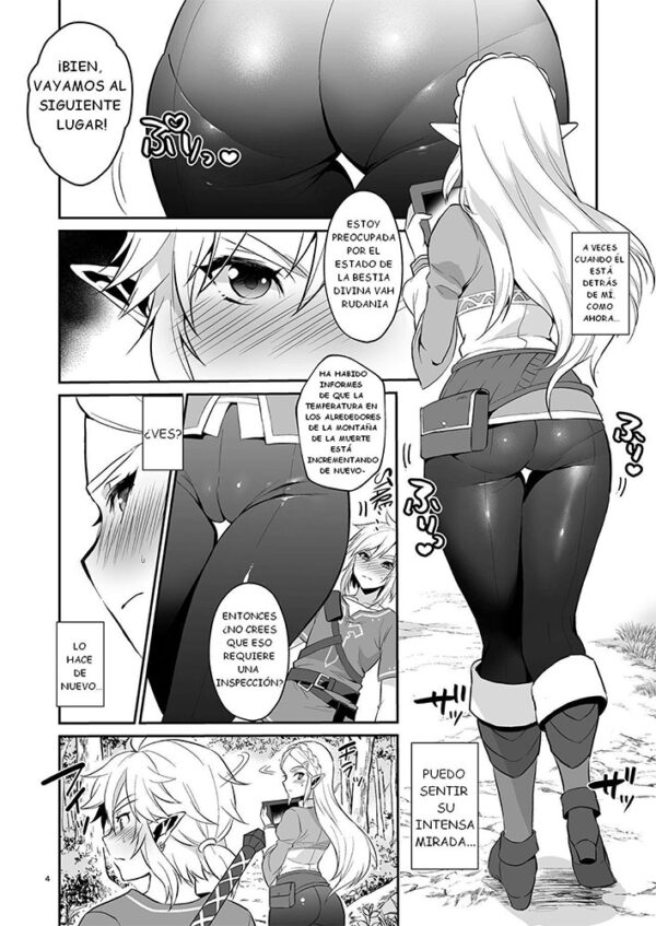 Doujin Legend of Zelda - Link x Zelda - Imagen 3