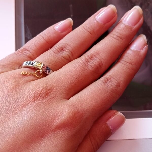 Anillo cadena Jotaro - Jojo's Bizarre Adventure - Imagen 2
