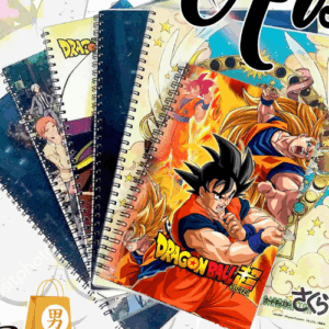 Cuadernos y Libretas