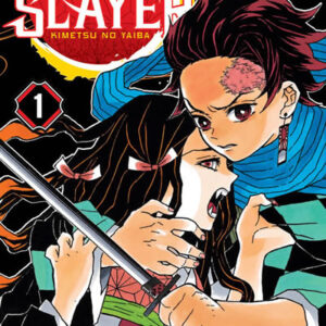Manga Demon Slayer: Kimetsu no Yaiba Vol. 1
