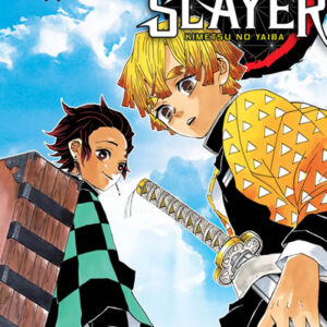 Manga Demon Slayer: Kimetsu no Yaiba Vol. 3