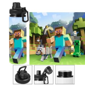 Termo metalico de Steve - Minecraft