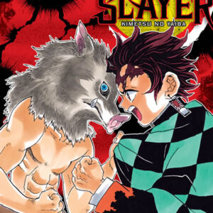 Manga Demon Slayer: Kimetsu no Yaiba Vol. 4